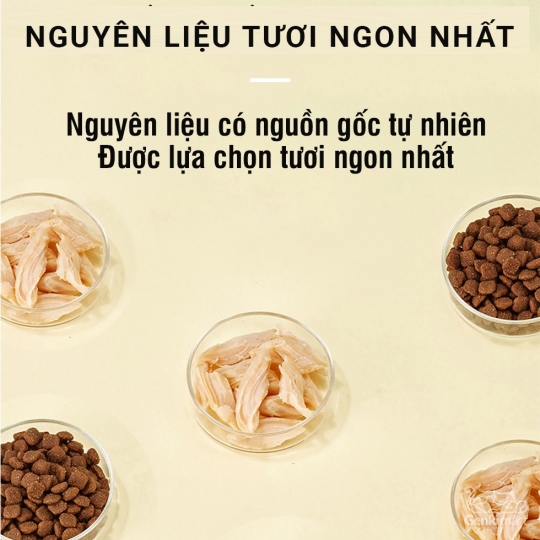 Thức ăn cho mèo hạt Teb K-Series K5 (Cho mèo trưởng thành)