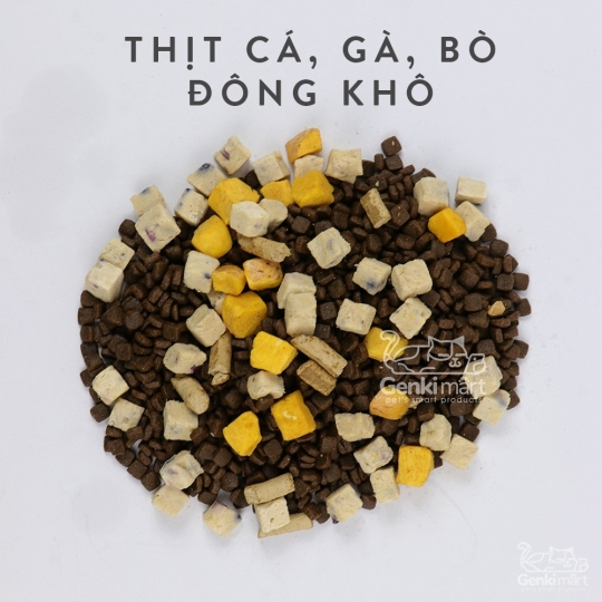 Hạt cho mèo Teb A Series 250 gram - bổ sung thịt đông khô thơm ngon (A1, A3, A5, A7)