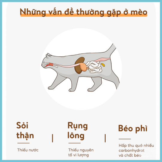 Thịt tươi viên giàu dinh dưỡng Petkit M80 (Công thức tối ưu cho mèo)
