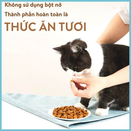 Thịt tươi viên giàu dinh dưỡng Petkit M80 (Công thức tối ưu cho mèo)