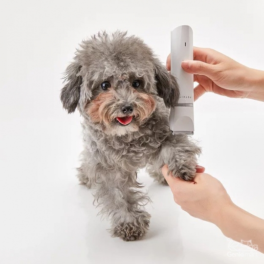 Tông đơ đa năng cho chó và mèo PETKIT 2in1
