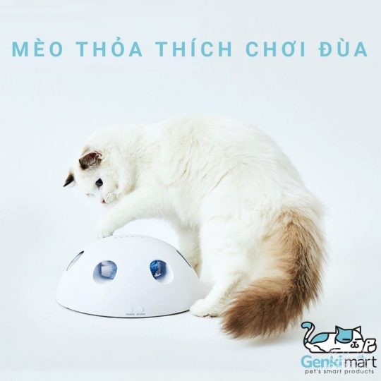 Petkit Energy Cat Toy - Đồ chơi siêu hấp dẫn cho mèo