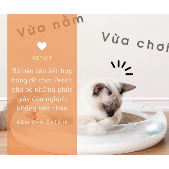 Bàn cào móng Petkit kết hợp bóng đồ chơi