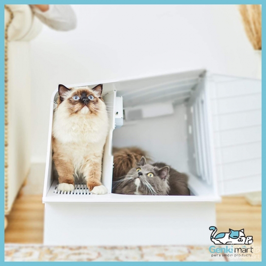 Petkit White Villa - Nhà vệ sinh cho mèo sang chảnh, chống vương cát