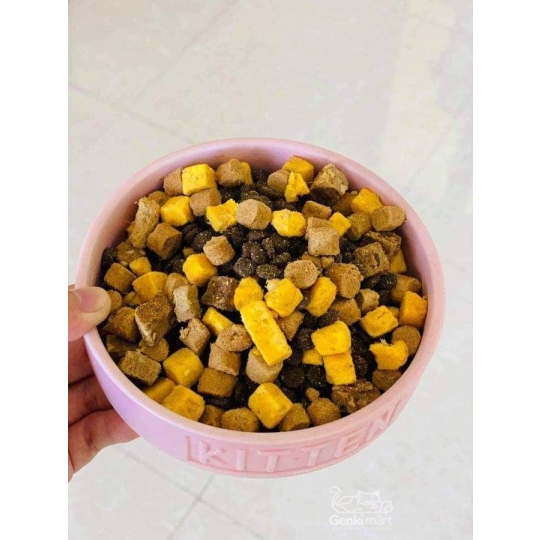 Mister Donut T1  bịch 9kg Topping 9 loại thịt - dành cho mèo mẹ và mèo con